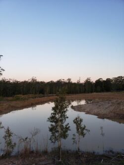 Heavy-duty dam construction by Big Ditch Dam Building Company for water retention and flood control.