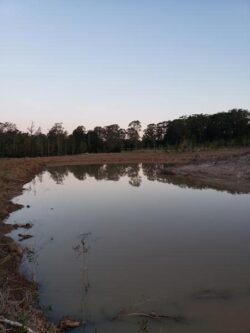 Unfinished dam construction by Big Ditch Dam Building Company in progress with water pooling.