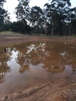 Flooded dam site with muddy water and surrounding trees, built by Big Ditch Dam Building Company.