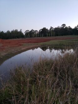 Dam construction and earthworks by Big Ditch Dam Building Company in outdoor setting, water pond and greenery.