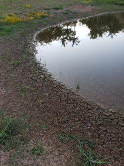 Cracked dam shoreline with muddy banks and water reflection, showcasing dam building and repair services.