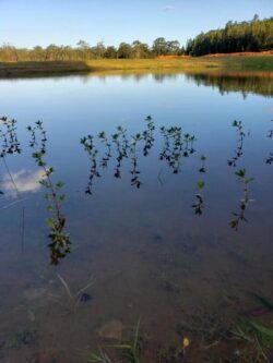 Reflections on a calm water dam, showcasing natural landscape and water management.