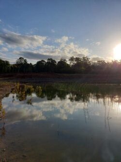 Tranquil water pond with surrounding trees and sunset sky, showcasing dam construction expertise.
