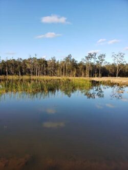 Clear water pond with surrounding trees and blue sky, constructed by Big Ditch Dam Building Company.