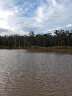 Unfinished dam construction at Big Ditch Dam Building Company, peaceful water with forest background.