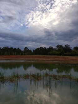 Heavy machinery constructing dam at Big Ditch Dam Building Company, environmental water dam project.