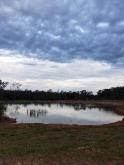 Heavy-duty dam construction by Big Ditch Dam Building Company for water retention and land management.