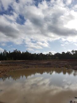 Heavy machinery constructing dam at Big Ditch Dam Building Company site.