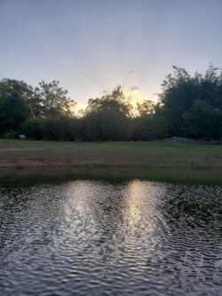Overflow dam during sunset with lush trees and water reflection.