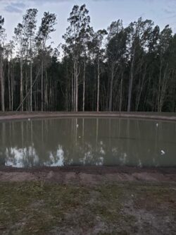 Pollution control dam built by Big Ditch Dam Building Company surrounded by forest.