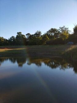Tranquil dam construction site with reflective water and lush trees in the background.