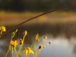 1. Dam construction by Big Ditch Company, reliable dam building experts in Australia.