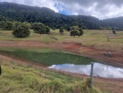 Low water dam with lush green trees and mountain backdrop in rural landscape.