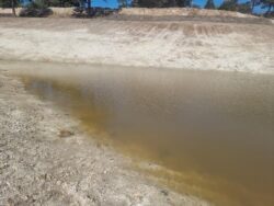 Dry dam construction site with water retention feature by Big Ditch Dam Building Company.