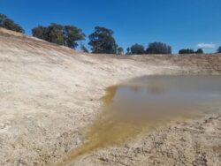 Drought-resistant dam construction by Big Ditch Dam Building Company.