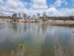 Water reservoir dam built by Big Ditch Dam Building Company for water management and irrigation solutions.