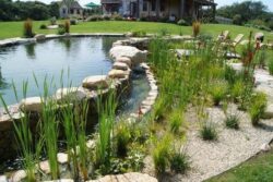 - Beautiful backyard pond with rock dam and lush landscaping.