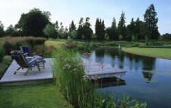 Tranquil pond with deck and seating, landscaped garden with trees and water lilies.