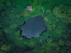 Aerial view of a pond surrounded by lush green trees and forest, showcasing dam construction by Big Ditch Dam Building Company.