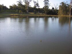 Clean water pond created by Big Ditch Dam Building Company for irrigation and water management.