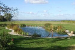 Natural pond with dam construction, lush green landscape, and water management.