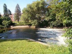 Low dam construction river flow with vegetation and trees, Big Ditch Dam Building Company.